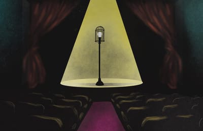 Funding Cuts to Local Theater + Arts